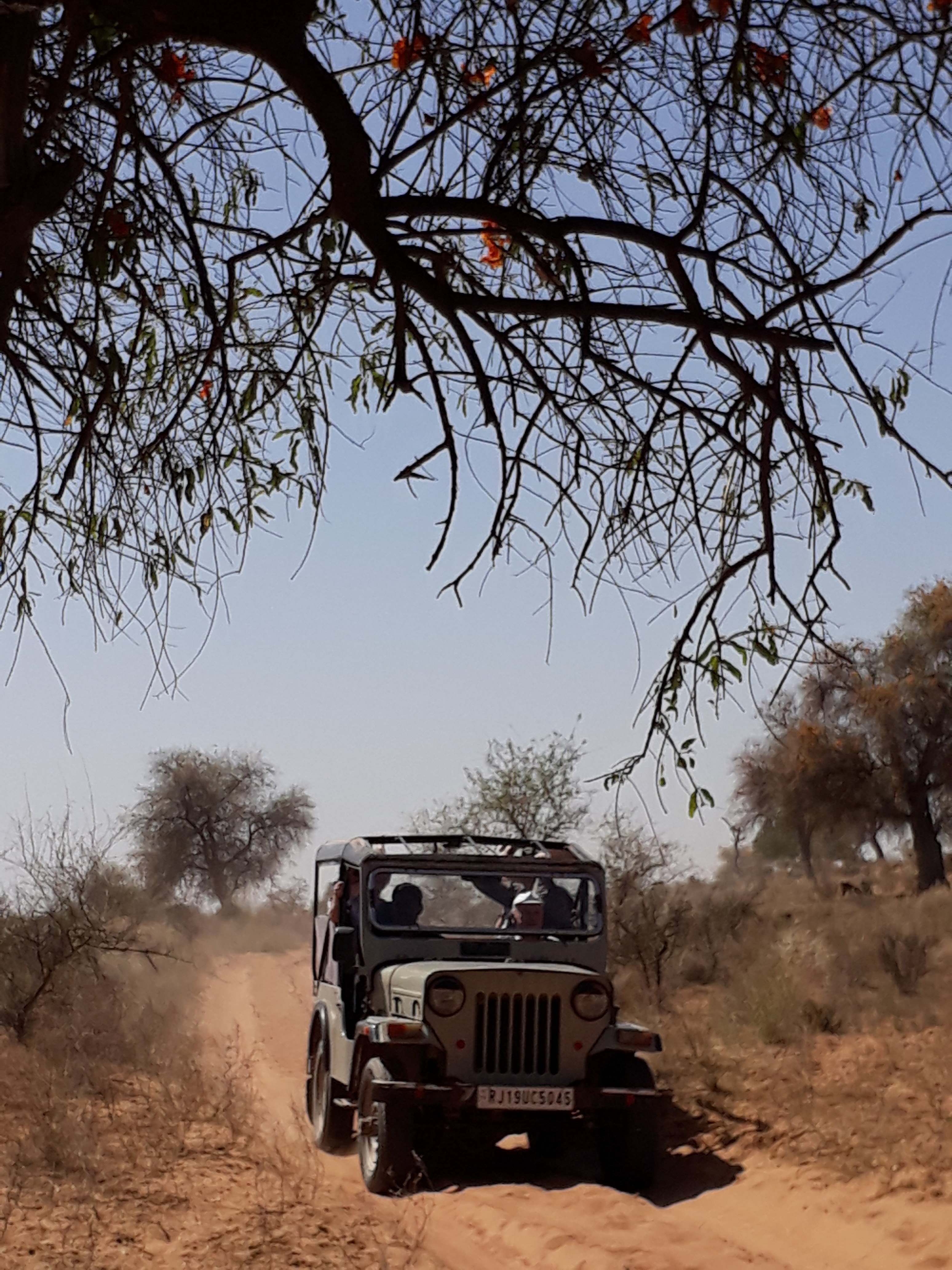Jeep ride in thar country side. What an amazing Environmental trip