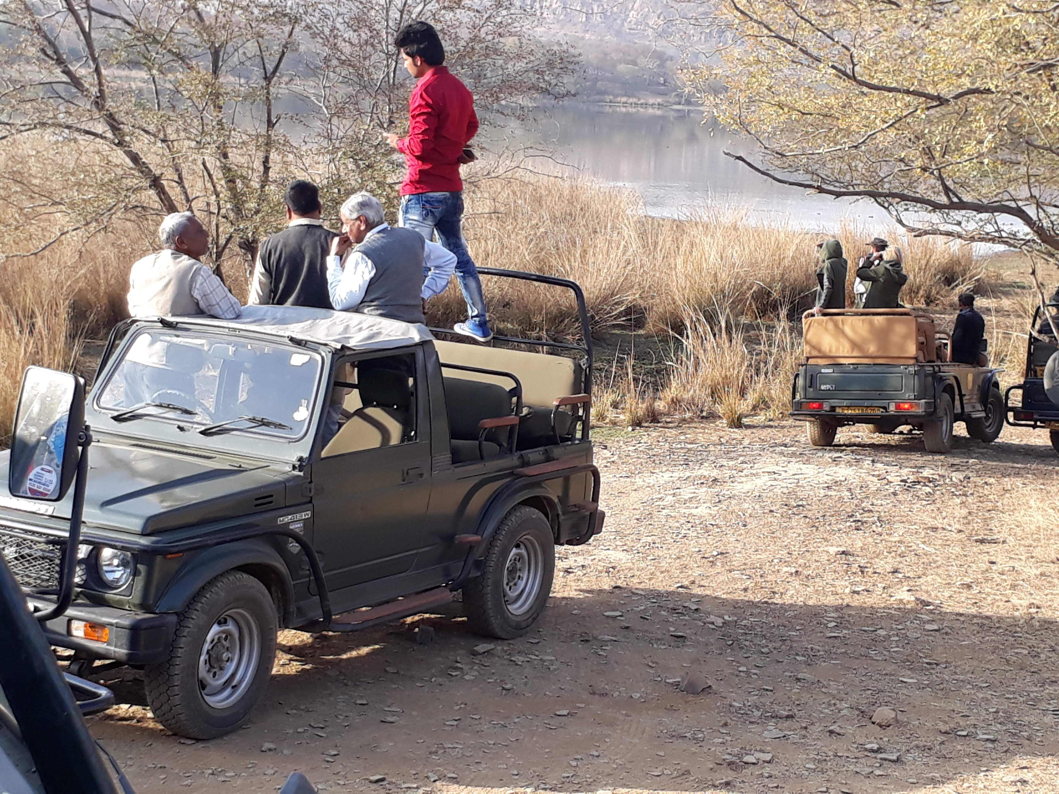 Wildlife in Rajasthan ,  Ranthambore trip , Tour with yogendra 